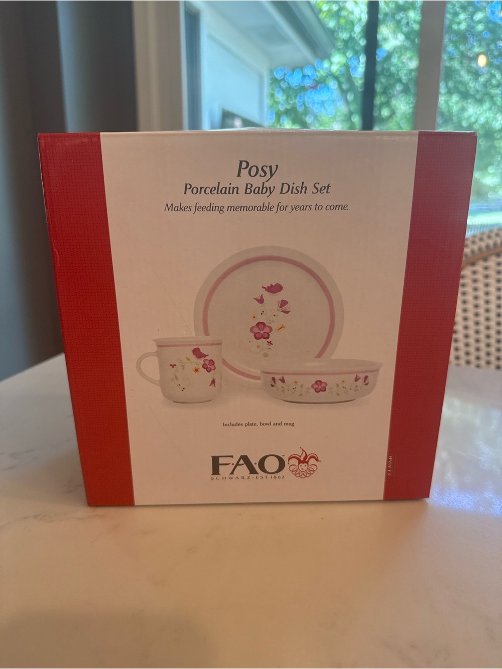 FAO Schwarz Posy Porcelain Baby Dish Set